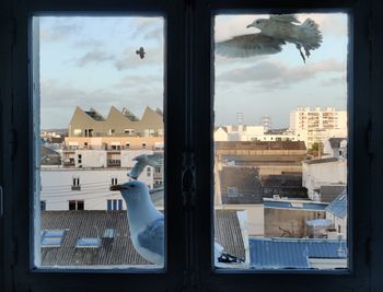 Buildings in city seen through glass window