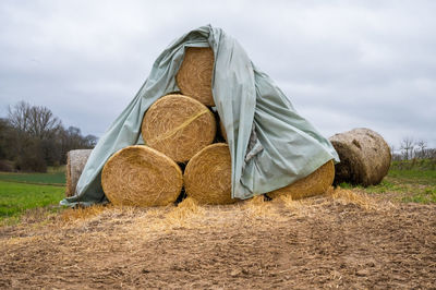 agriculture