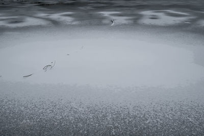 Scenic view of snow covered landscape