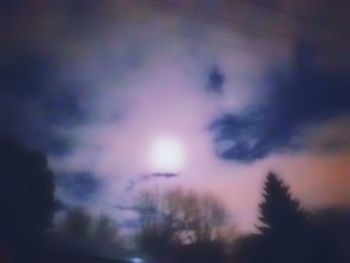 Low angle view of trees against sky at night