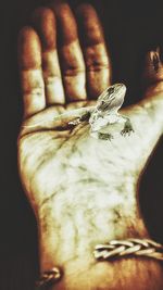 Close-up of human hand