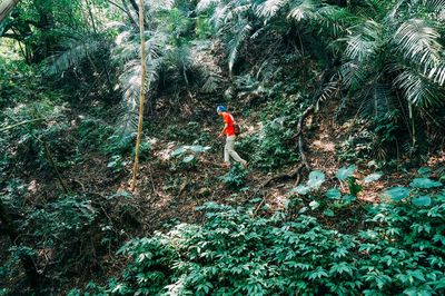People by trees in forest