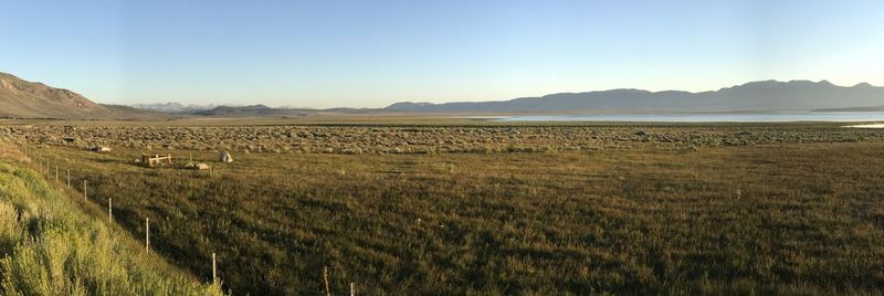 Scenic view of field against clear sky