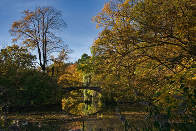 Trees by lake against sky during autumn