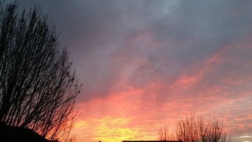 Silhouette of bare tree against cloudy sky