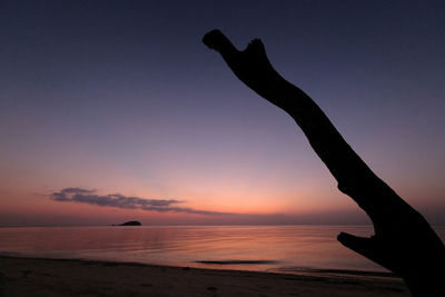 Silhouette person on beach against sky during sunset