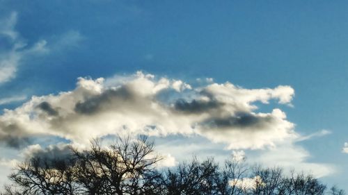 Low angle view of trees against cloudy sky