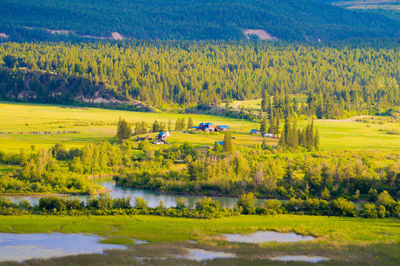 Scenic view of rural landscape