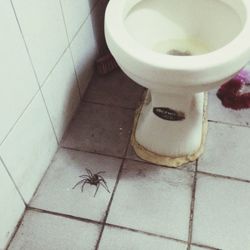 Tiled floor in bathroom