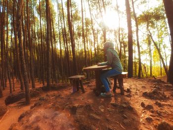 Man sitting on seat in forest