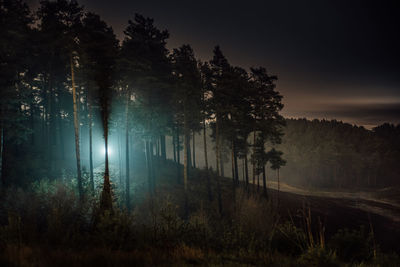 Scenic view of lake in forest at sunset