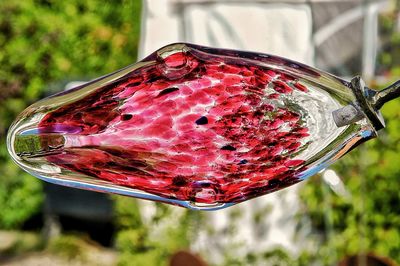 Close-up of red berries on glass