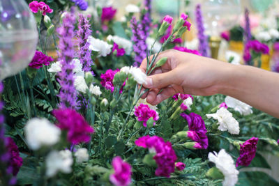 Close-up of woman hand holding purple flowering plant outdoors