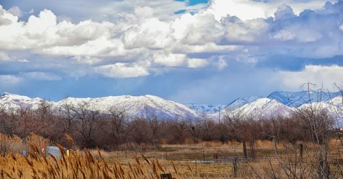 Scenic view of field against sky during winter