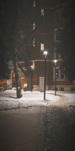Street lights on footpath in city at night