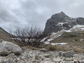 Scenic view of snowcapped mountain against sky