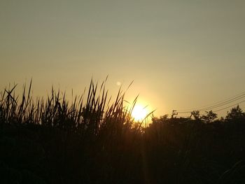 Silhouette plants on field against clear sky during sunset