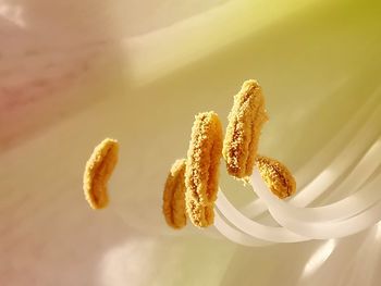 High angle view of cake on table