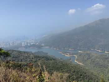 environment