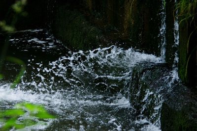 Waterfall in forest