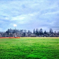 Trees on grassy field