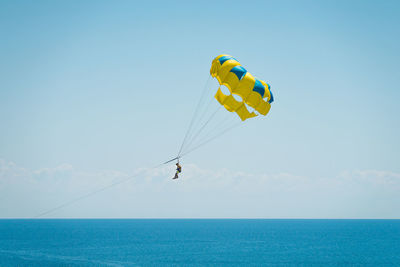 Bird flying over sea against sky