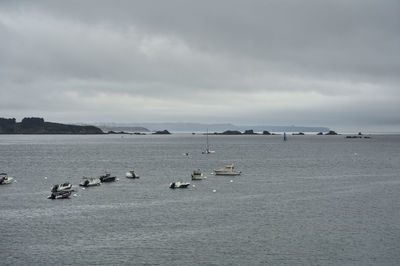 Birds in sea against sky