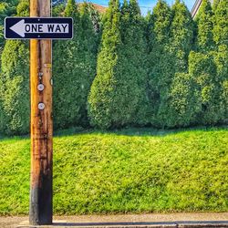 View of road sign