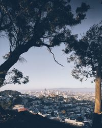 Aerial view of city