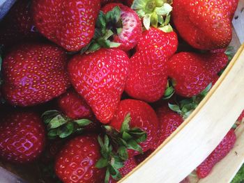 High angle view of strawberries