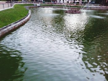 Reflection of trees in water