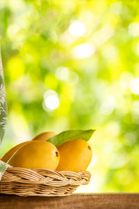 Mangoes in basket on window