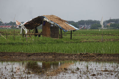 Scenic view of farm against sky