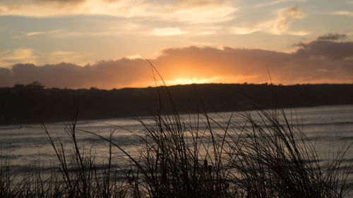 Scenic view of sea during sunset