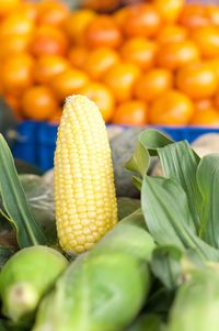 Close-up of vegetables for sale in market