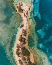 Aerial view of coastline and sea