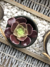 High angle view of food on table