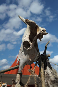 Low angle view of animal skull against sky
