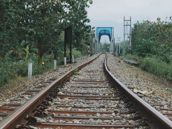 Railroad tracks along trees