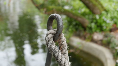 Close-up of mooring rope at riverbank