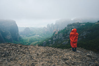 Rear view of tourist standing on mountain