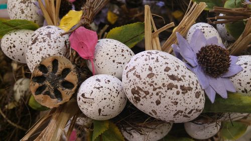 Close-up of easter eggs