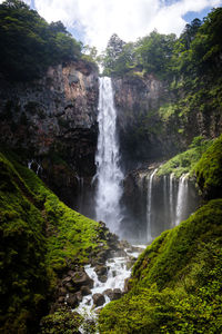 Scenic view of waterfall in forest