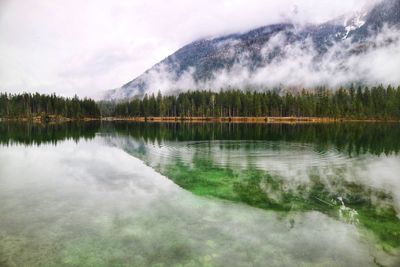 Scenic view of lake by trees against sky