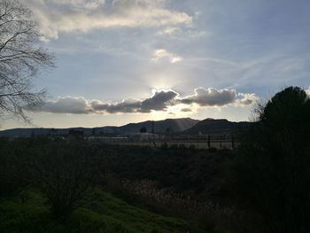 Panoramic view of trees against sky