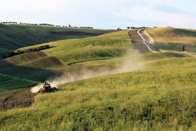 Scenic view of rural landscape