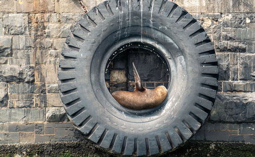 Seal in a big tire