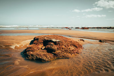 Rock on beach by sea against sky