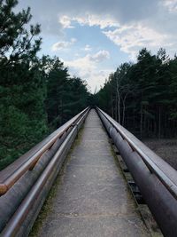 Railroad track amidst trees against sky