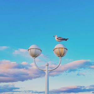 Low angle view of birds on blue sky